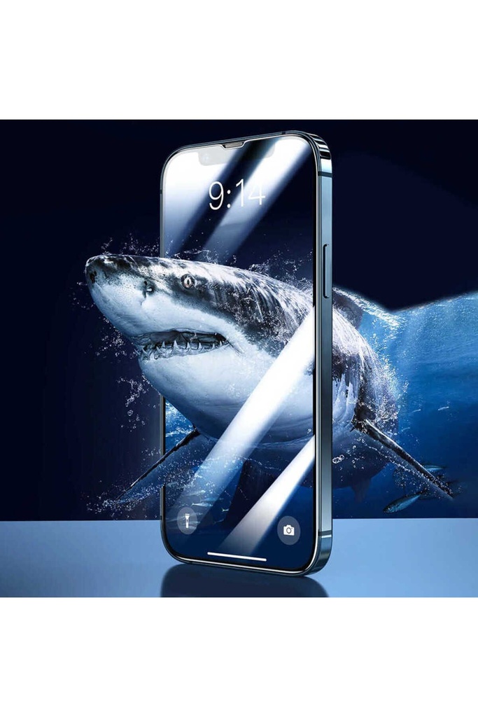 Apple iPhone 13 Pro Max Uyumlu Davin 5D Cam Ekran Koruyucu