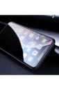 Apple iPhone 12 Pro Max Uyumlu Zore Anti-Dust Privacy Temperli Ekran Koruyucu