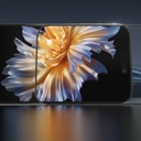Apple iPhone 16 Plus Wiwu GT-015 Çok Katmanlı Temperli iPrivacy Cam Ekran Koruyucu 10'lu Paket - 6