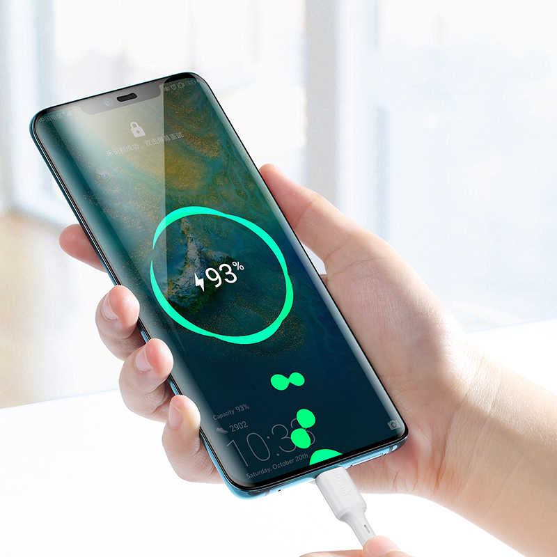 Benks D35 Type-C Fast Charging Usb Kablo 0.25m - 1