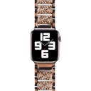 Apple Watch Ultra 49mm Uyumlu Kordon Wiwu Three Beads Set Auger Metal Strap Kayış - 2
