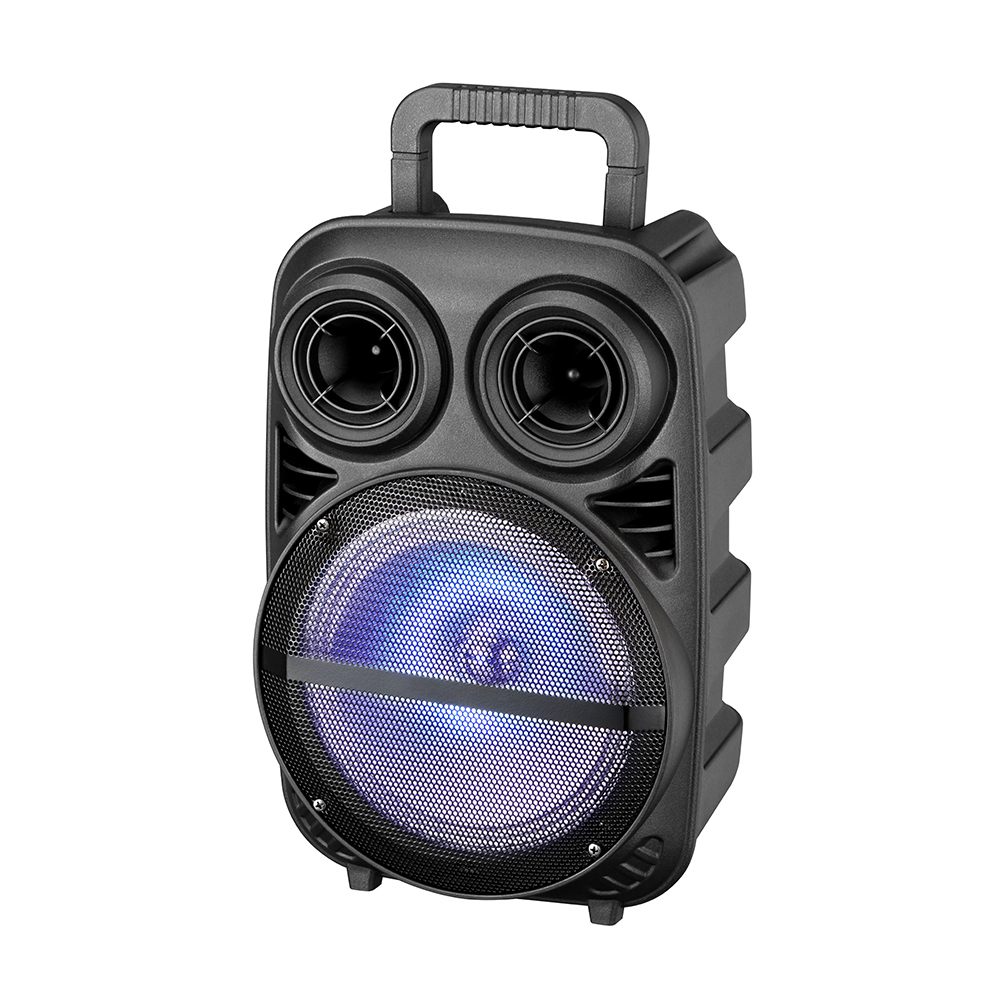 Zore PK-15 FM Radyolu Mikrofonlu RGB TWS 8 inç Stereo Bass Kablosuz Karaoke Hoparlör