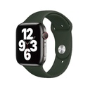 Apple Watch 42mm Uyumlu Wiwu Sport Band Silikon Kordon